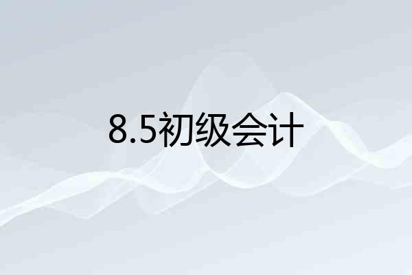 8.5初级会计