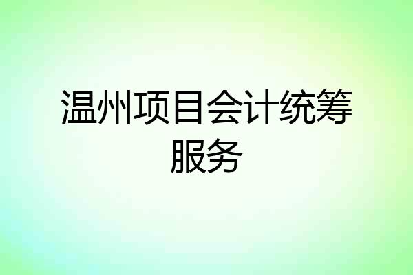 温州项目会计统筹服务