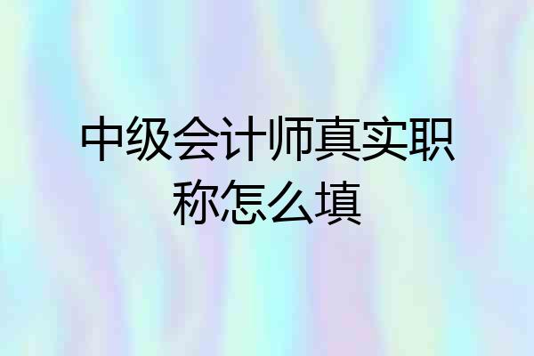 中级会计师真实职称怎么填