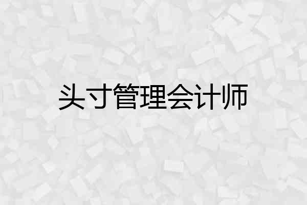 头寸管理会计师