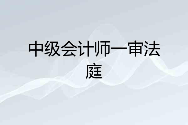 中级会计师一审法庭
