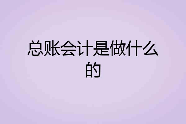 总账会计是做什么的