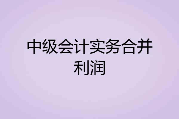 中级会计实务合并利润