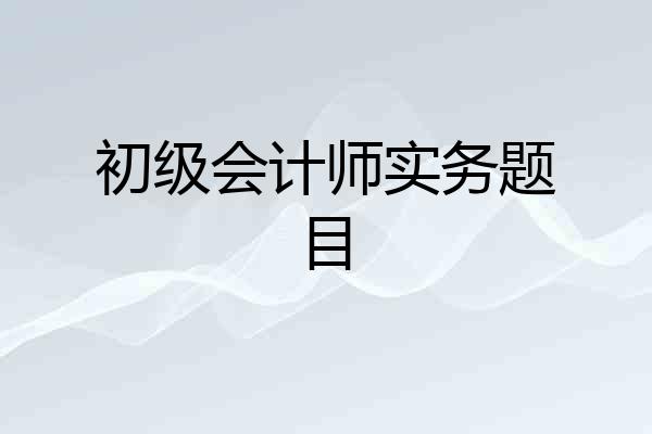 初级会计师实务题目