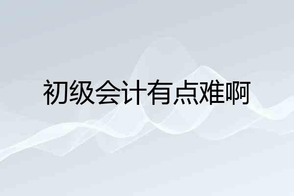 初级会计有点难啊