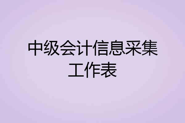 中级会计信息采集工作表
