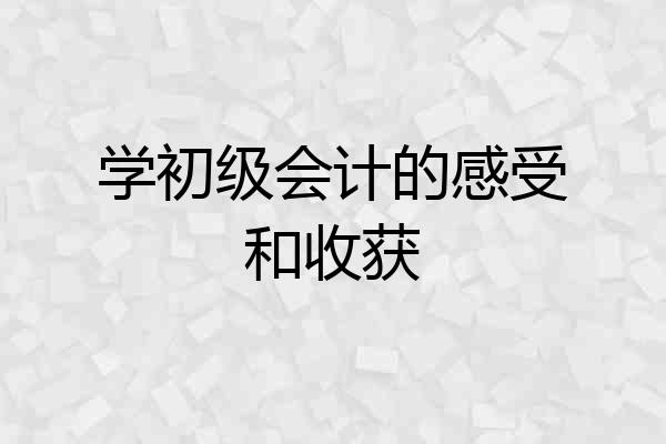 学初级会计的感受和收获