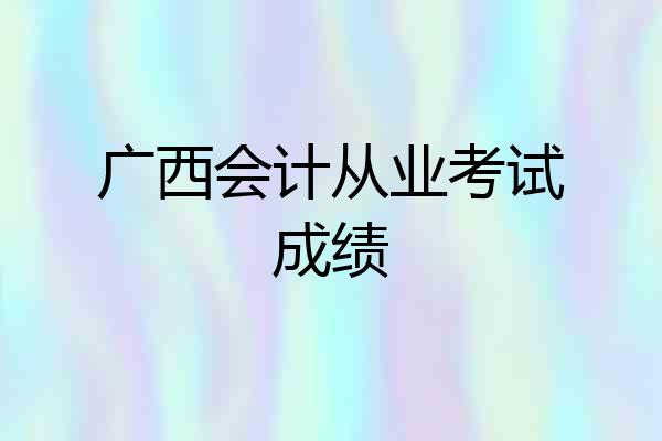 广西会计从业考试成绩