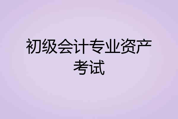 初级会计专业资产考试