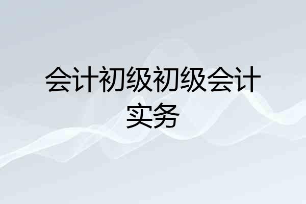 会计初级初级会计实务
