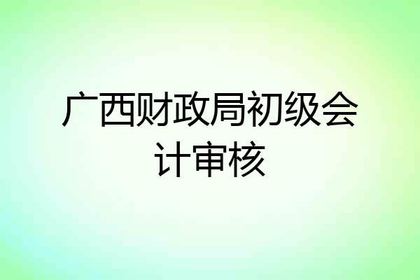 广西财政局初级会计审核