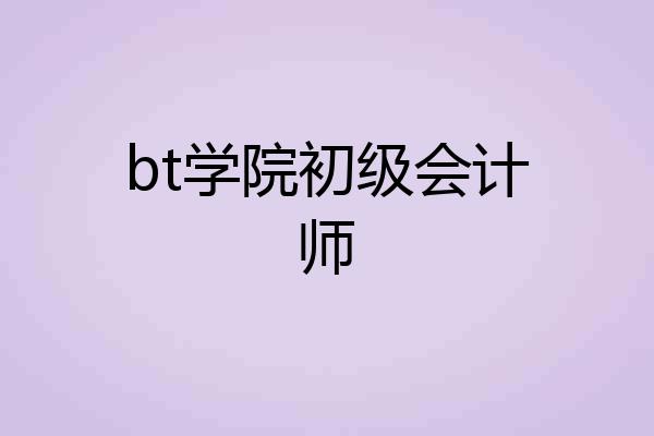 bt学院初级会计师