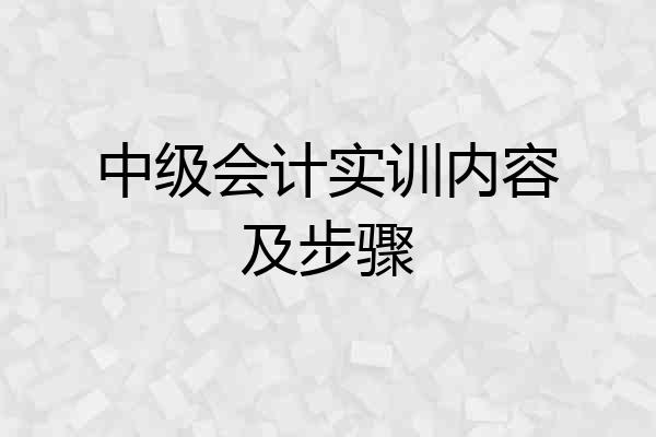 中级会计实训内容及步骤