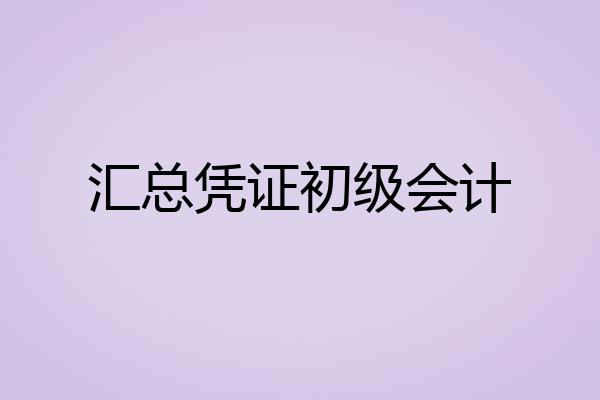 汇总凭证初级会计