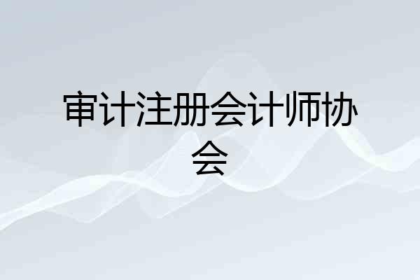 审计注册会计师协会