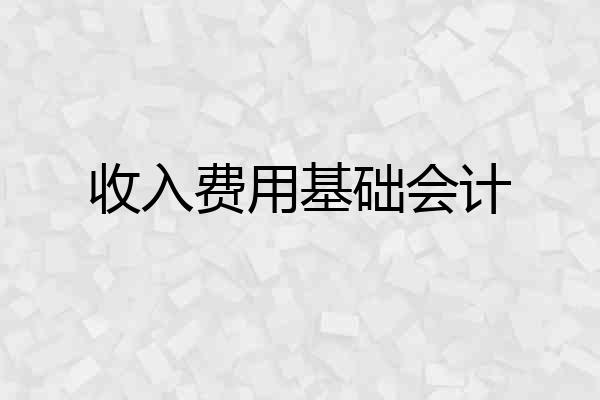 收入费用基础会计