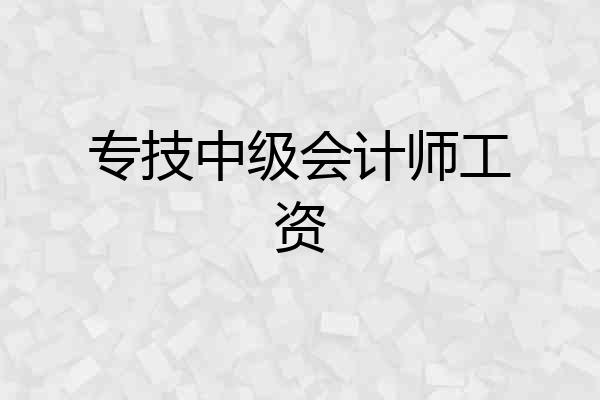 专技中级会计师工资