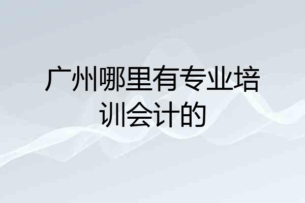 广州哪里有专业培训会计的