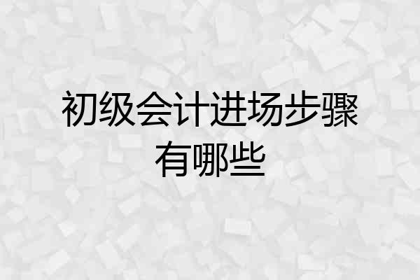 初级会计进场步骤有哪些