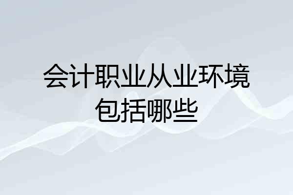 会计职业从业环境包括哪些