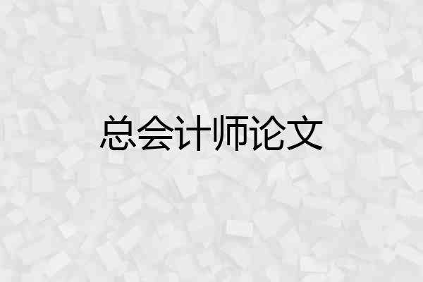 总会计师论文