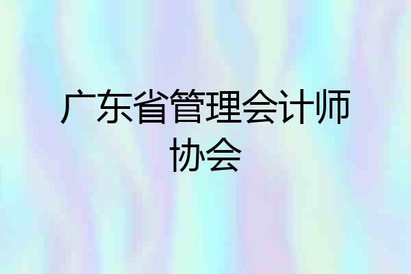广东省管理会计师协会