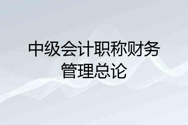 中级会计职称财务管理总论