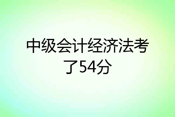 中级会计经济法考了54分