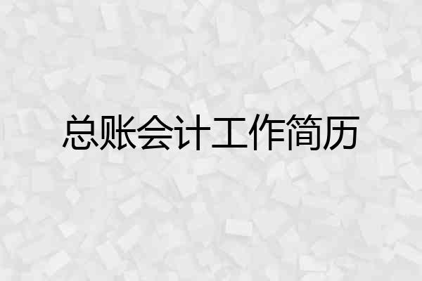 总账会计工作简历