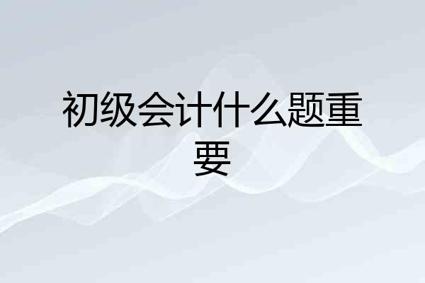 初级会计什么题重要