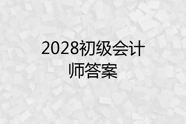 2028初级会计师答案