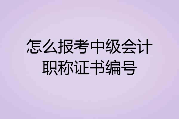 怎么报考中级会计职称证书编号