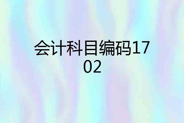 会计科目编码1702