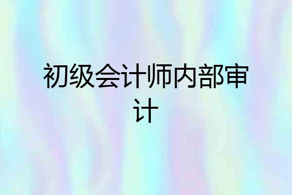 初级会计师内部审计
