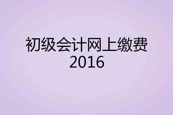 初级会计网上缴费2016