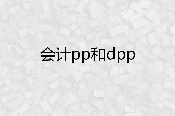 会计pp和dpp