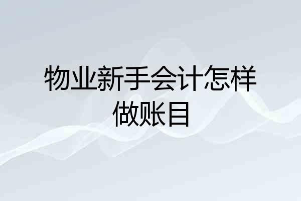 物业新手会计怎样做账目