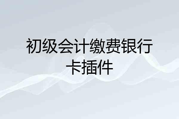 初级会计缴费银行卡插件