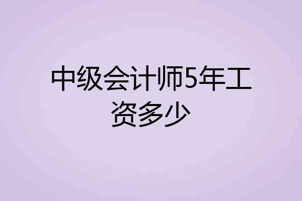 中级会计师5年工资多少