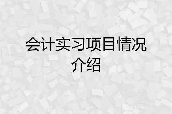 会计实习项目情况介绍
