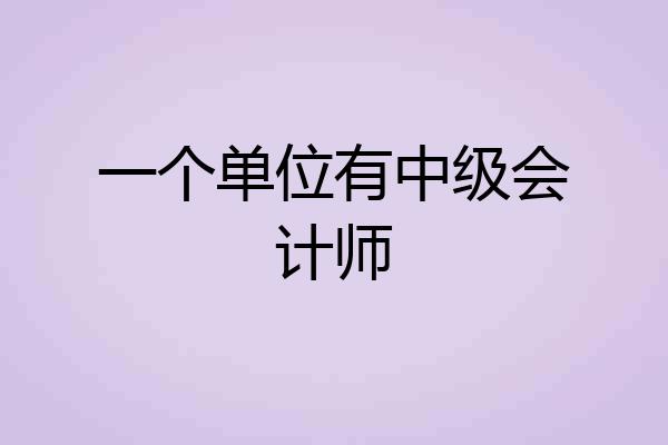 一个单位有中级会计师