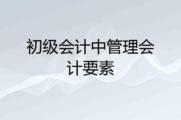 初级会计中管理会计要素