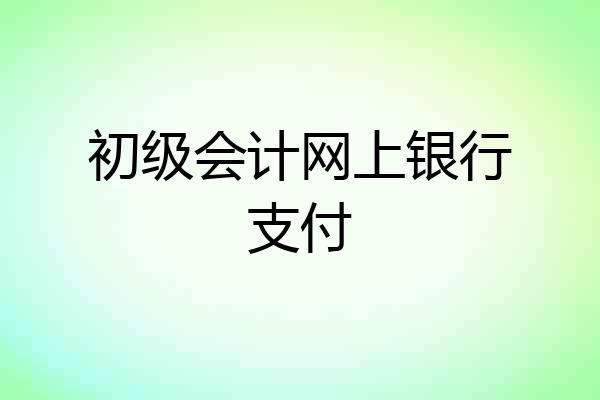 初级会计网上银行支付