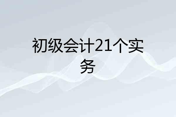 初级会计21个实务