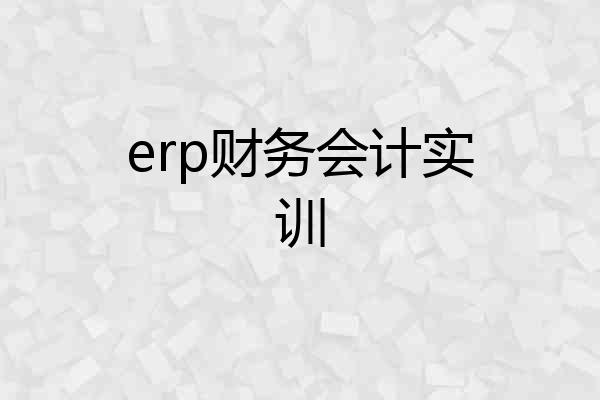 erp财务会计实训
