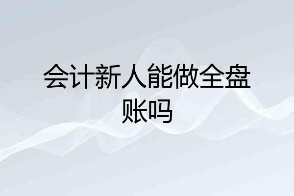 会计新人能做全盘账吗
