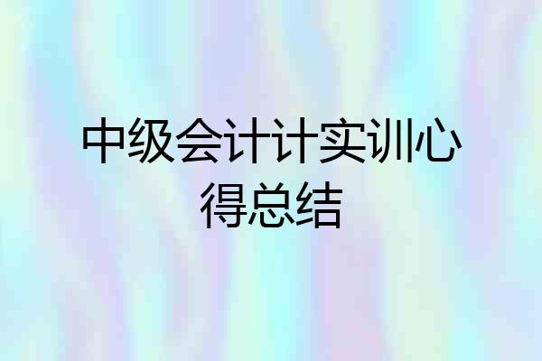 中级会计计实训心得总结