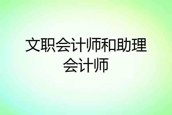 文职会计师和助理会计师