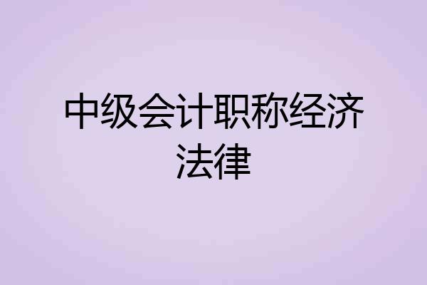 中级会计职称经济法律