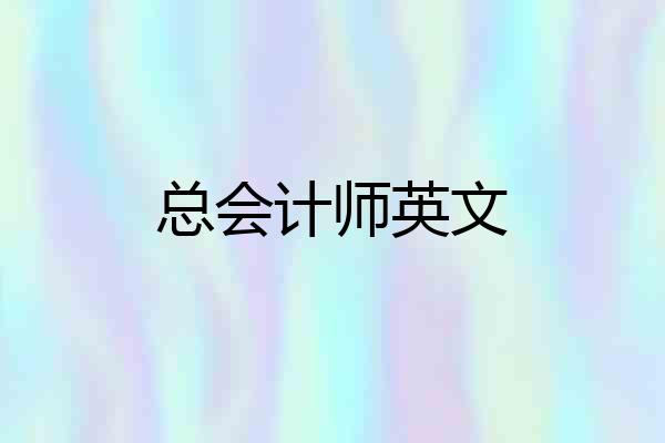 总会计师英文